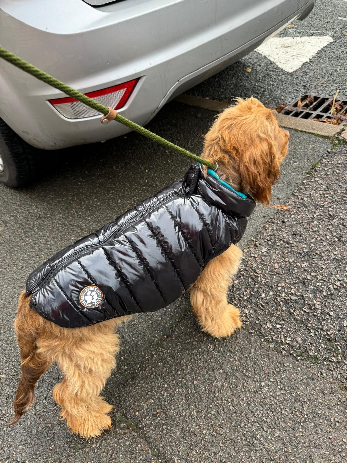 Jet Black Dog Puffer Coat Small