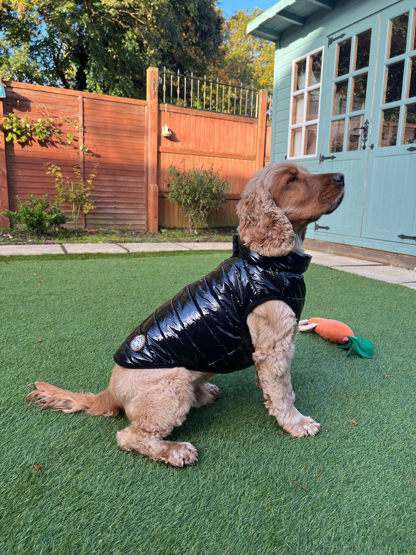 Jet Black Dog Puffer Coat Small