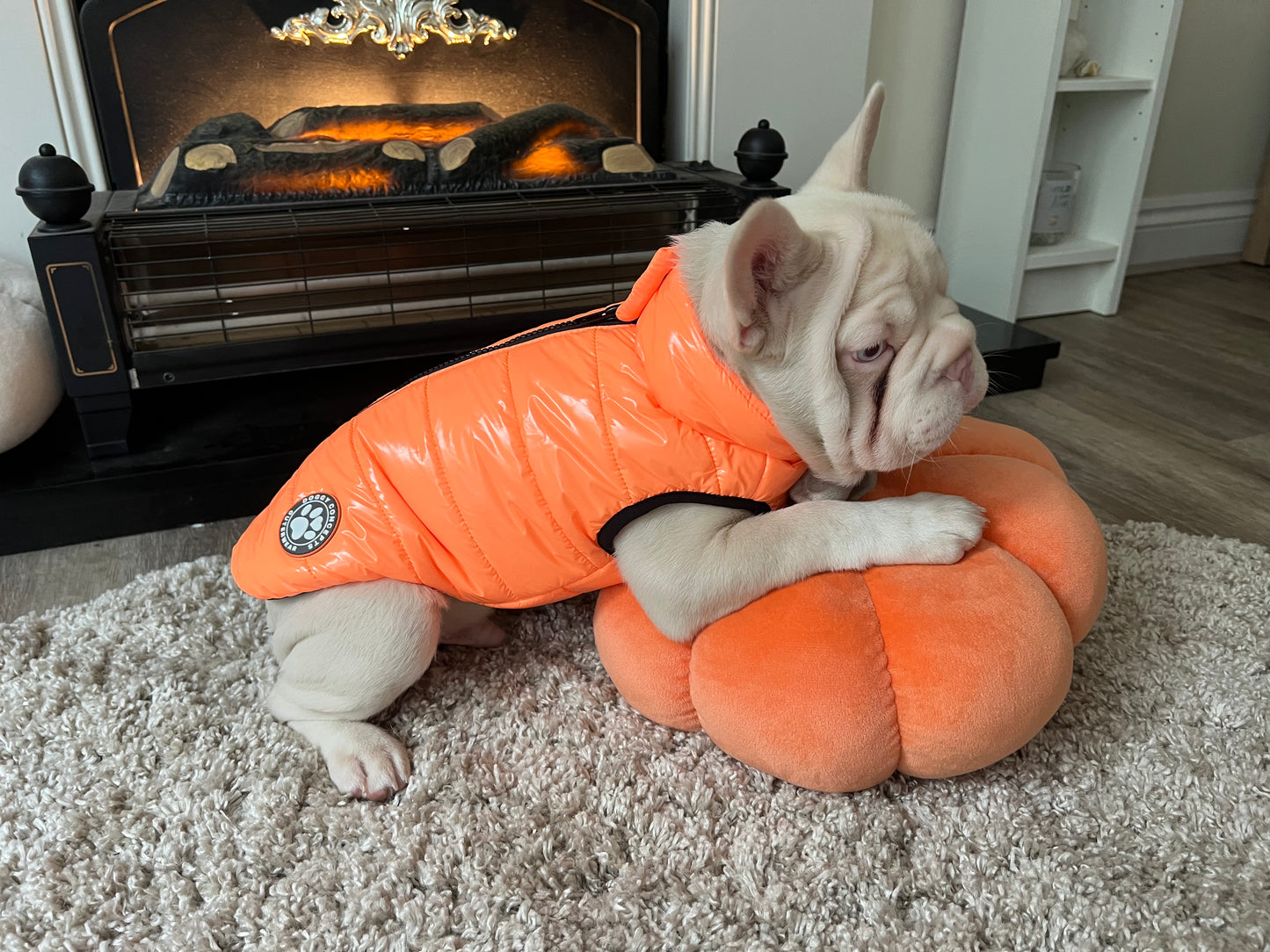 Neon Orange Dog Puffer Coat Medium