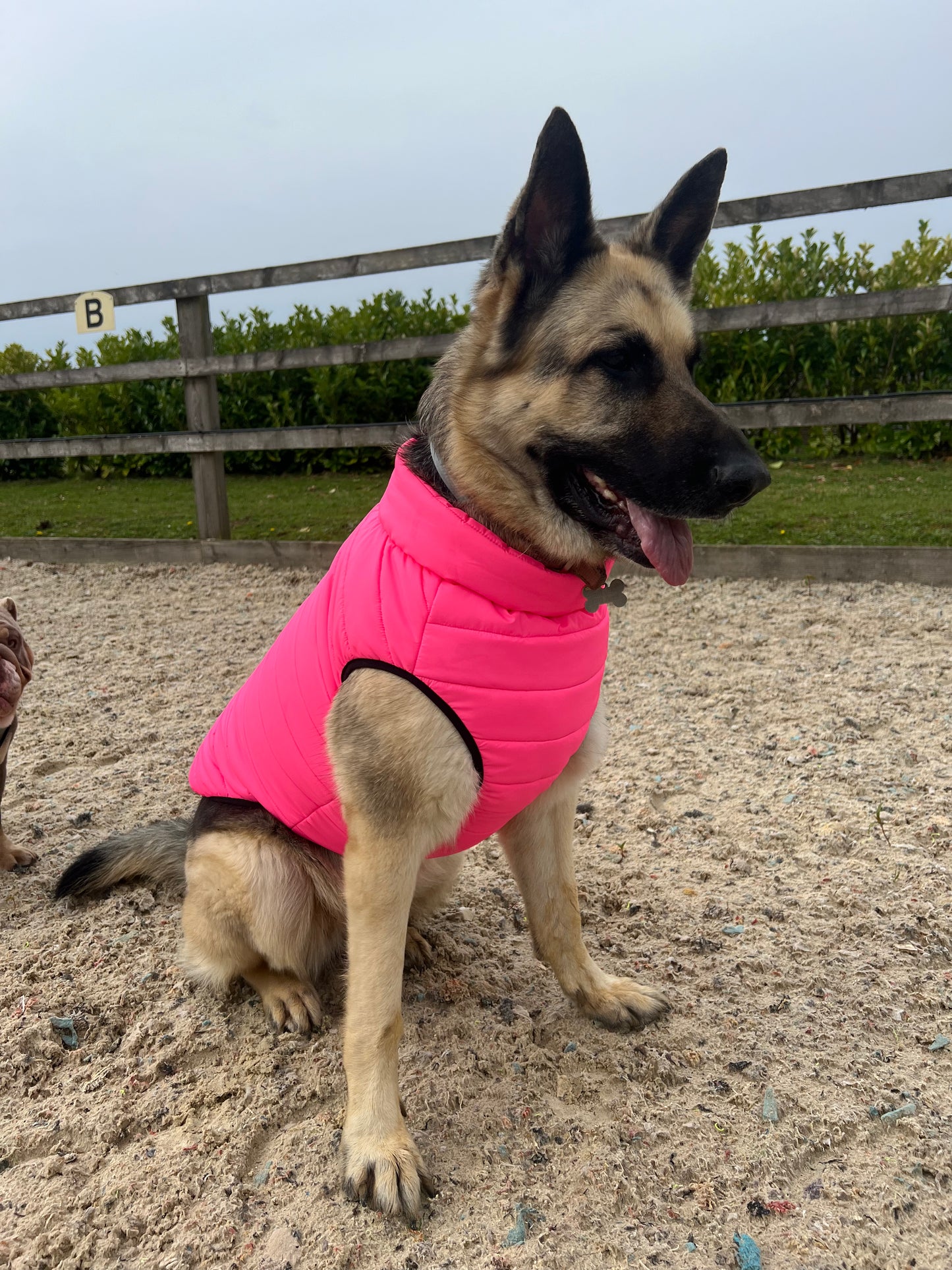 Hot Pink Dog Puffer Coat Large